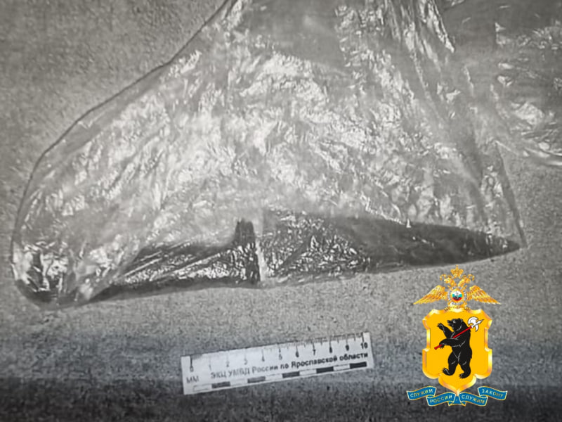 Угрожая ножом, забрал деньги из кассы: в Ярославской области задержали подозреваемого в разбое