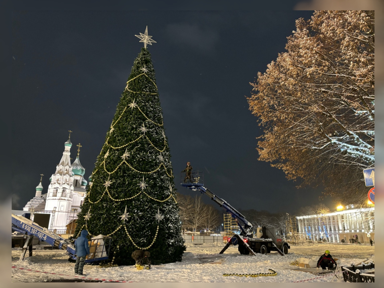 В Ярославле объявили закупку 12-метровой новогодней ели