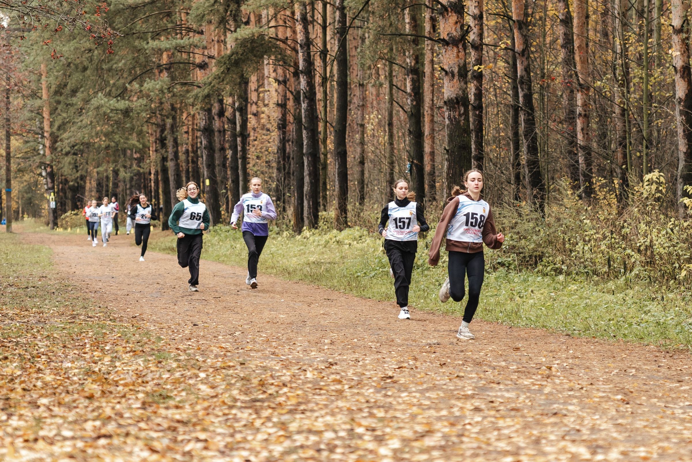 В Ярославле стартовала универсиада вузов региона