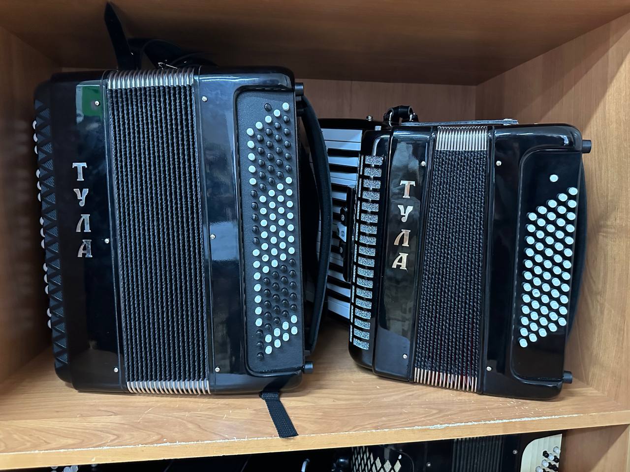 Некрасовская музыкальная школа в Ярославской области получила новые инструменты