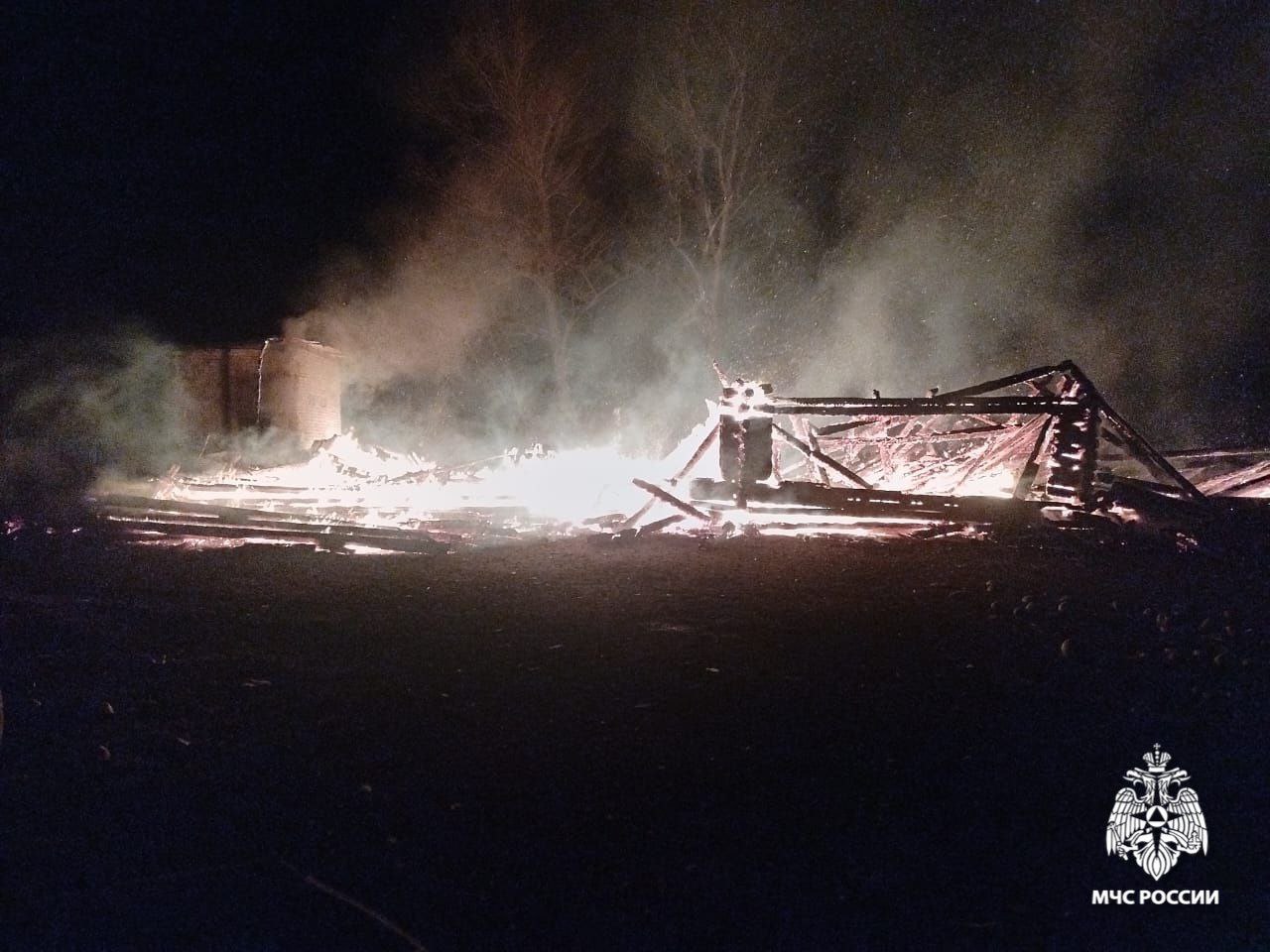 При пожаре в птичнике в Ярославской области погибли 150 индюшек