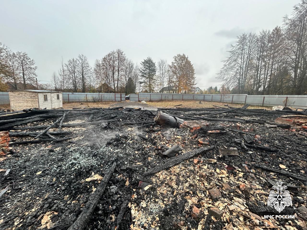 При пожаре в птичнике в Ярославской области погибли 150 индюшек