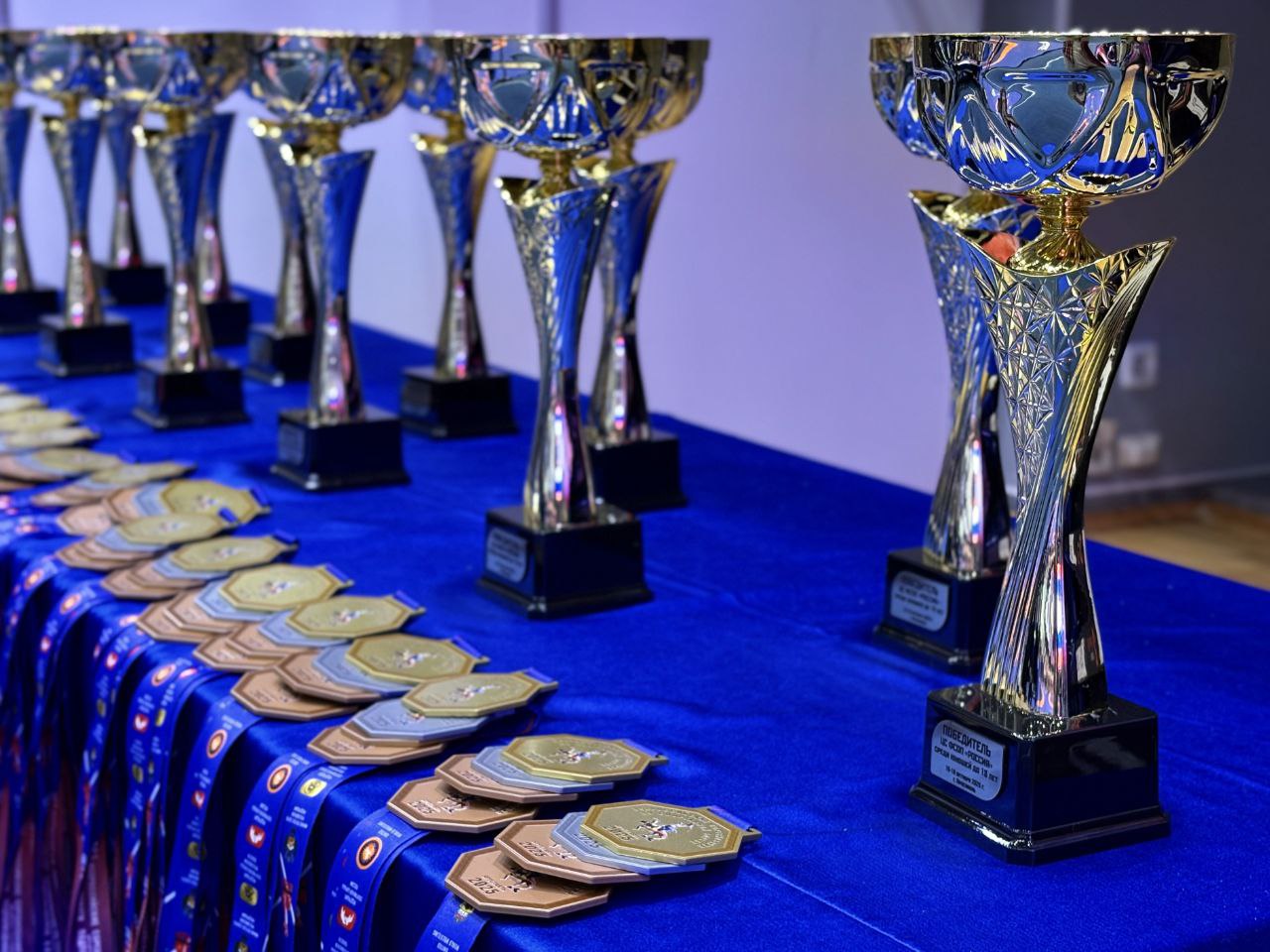 Всероссийские соревнования по греко-римской борьбе проходят в Ярославле