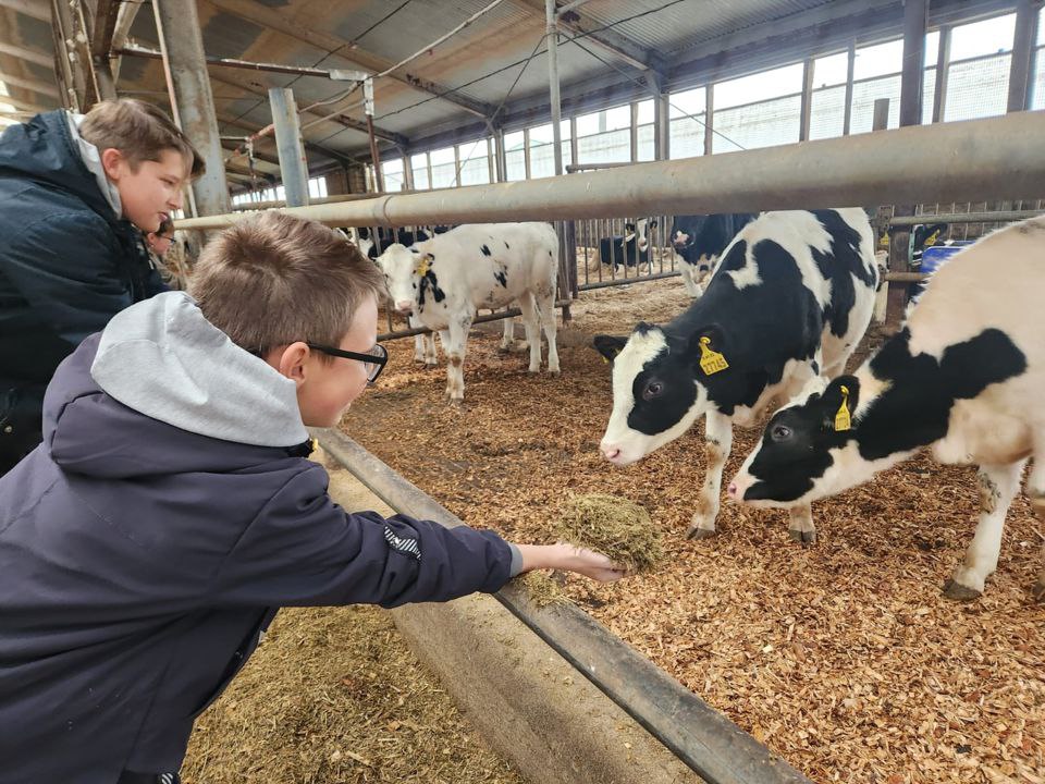 Более 30 тысяч жителей посетили день открытых дверей «Профессионалитета» в Ярославской области