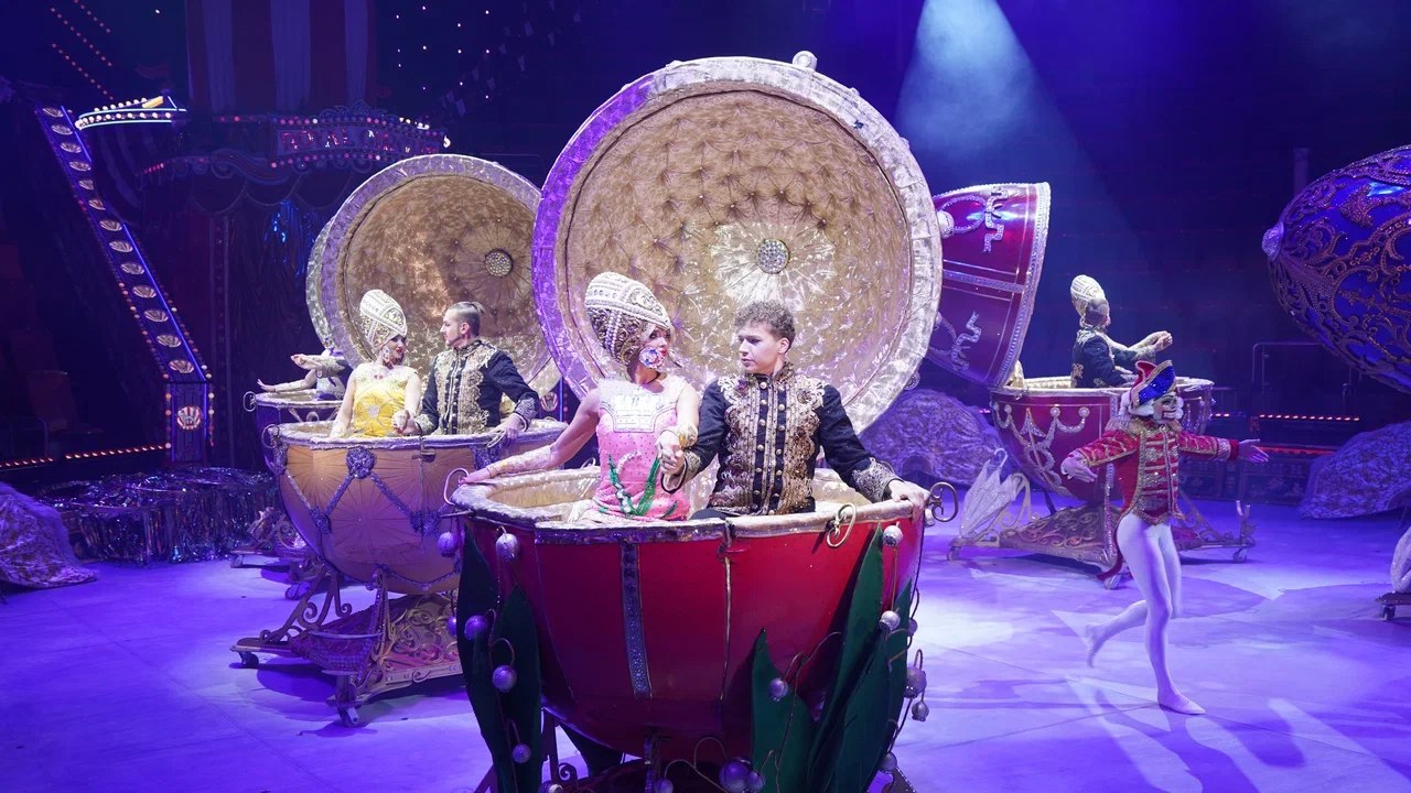 Семьи участников СВО смогут бесплатно посетить новое шоу в Ярославском цирке