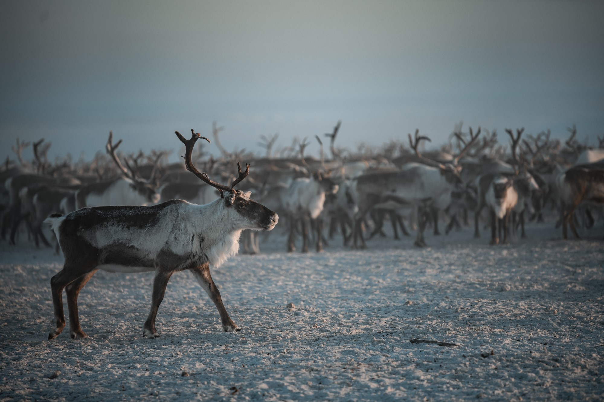 Вместе в цифровое будущее: стартует юбилейный конкурс «Ростелекома» для региональных ИТ-журналистов и блогеров