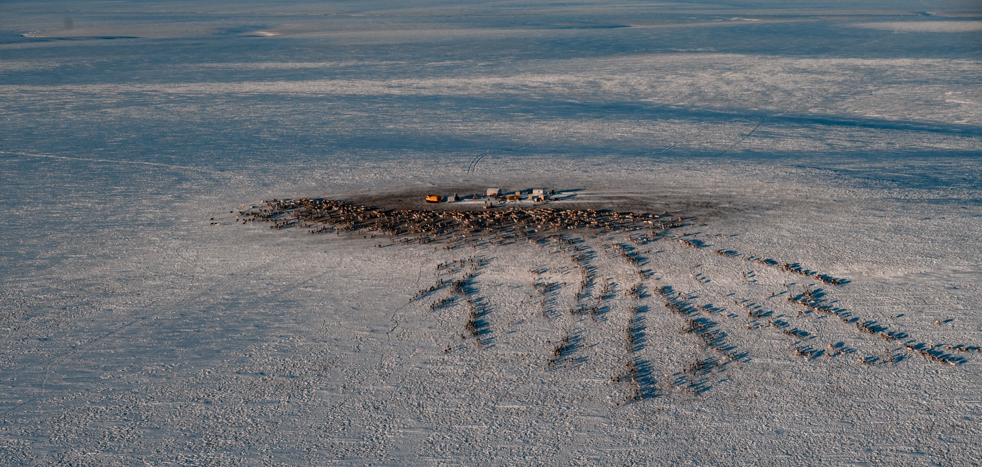 Вместе в цифровое будущее: стартует юбилейный конкурс «Ростелекома» для региональных ИТ-журналистов и блогеров