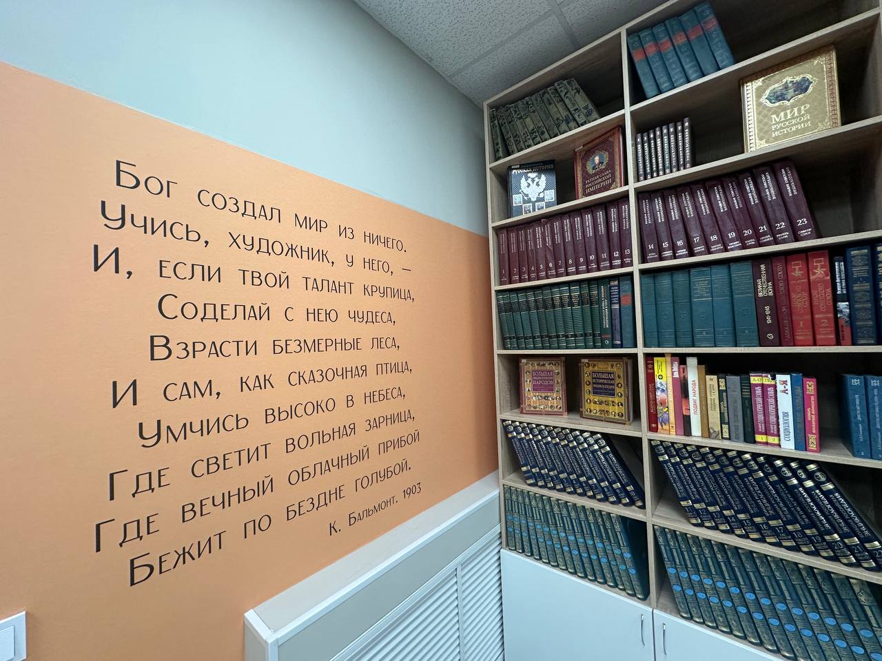 ​Сразу две модельные библиотеки открылись в Ярославле