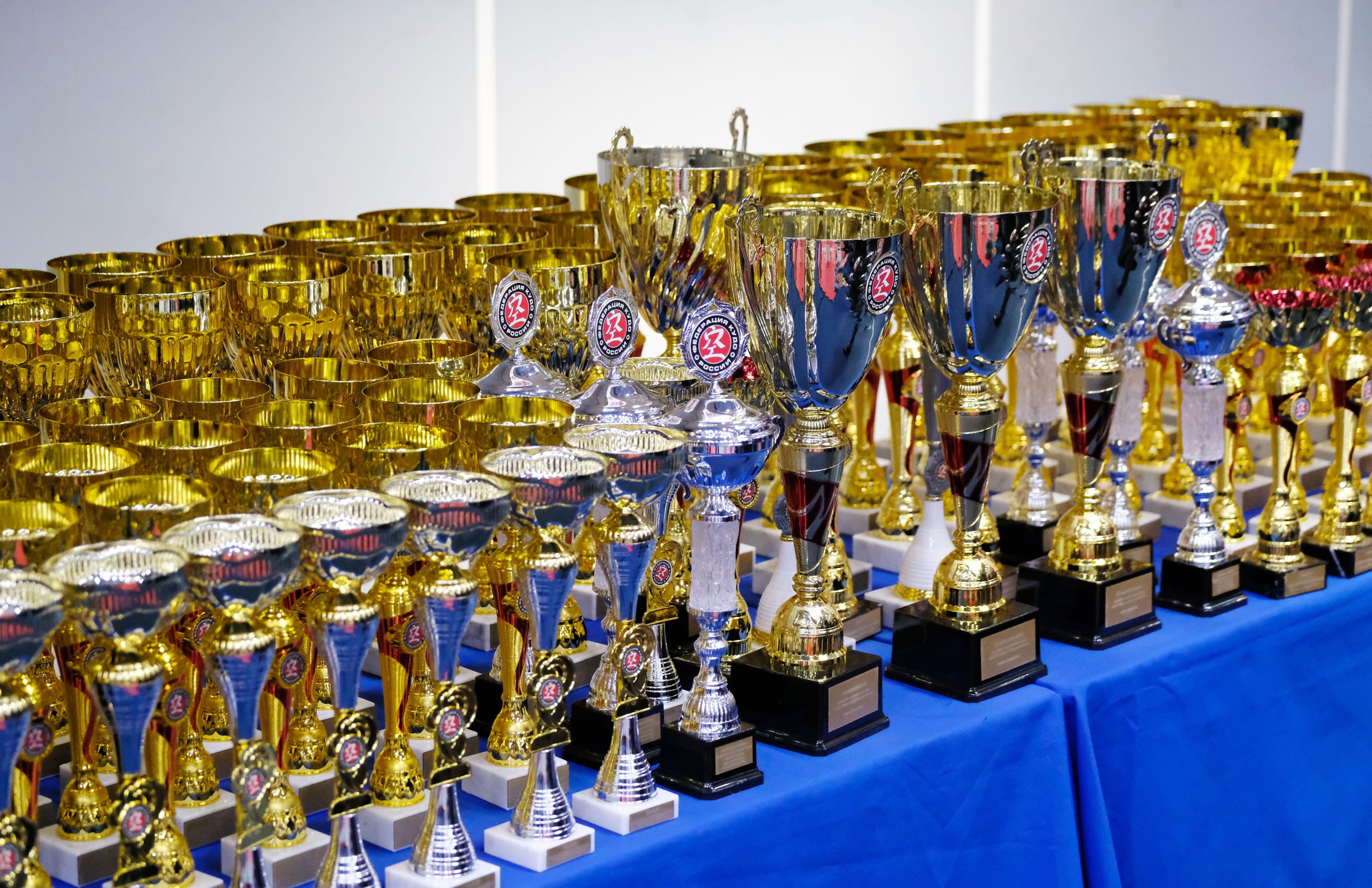 Успешные спортсмены и тренеры в Ярославской области получают денежные выплаты