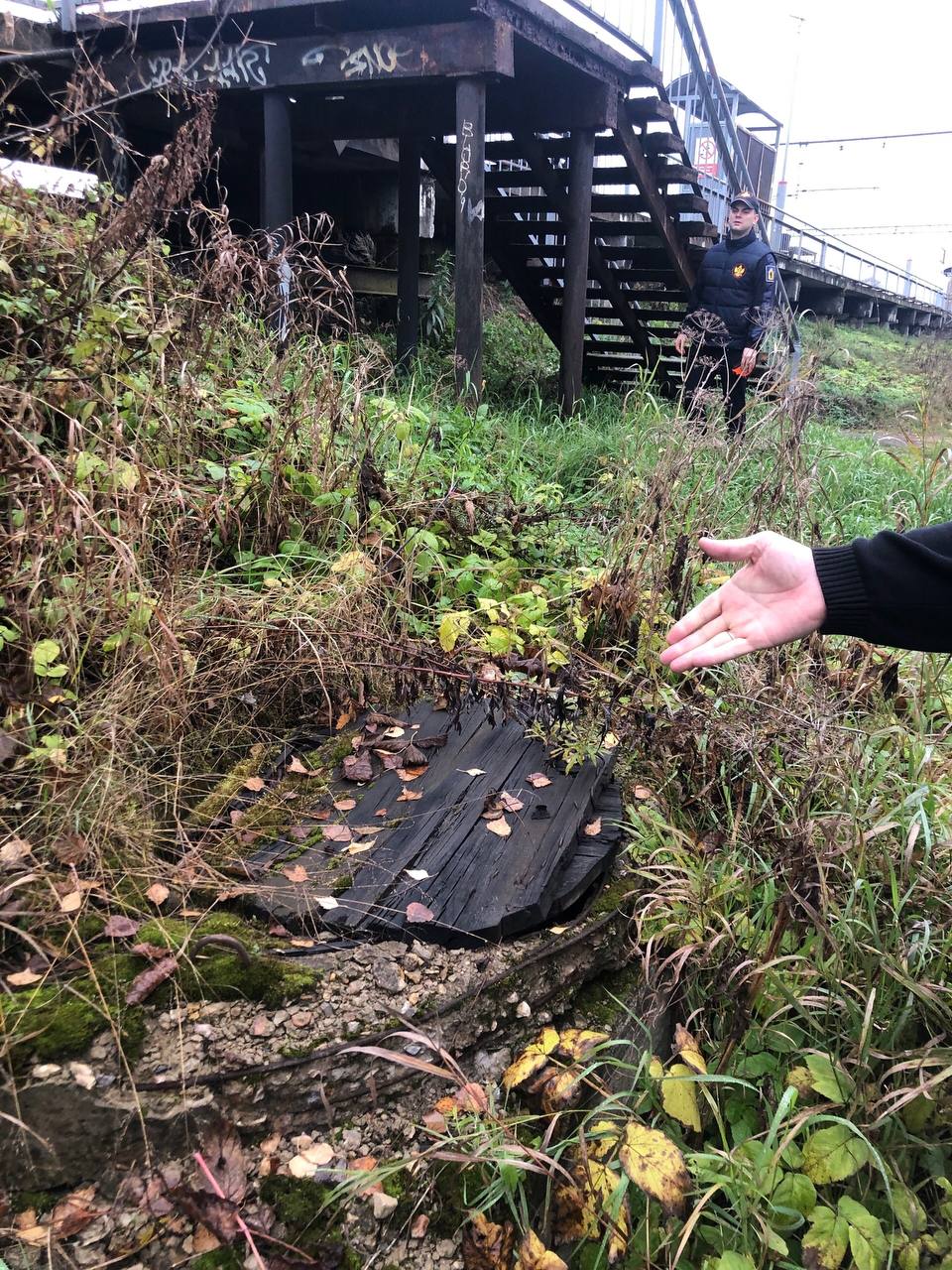 Детский омбудсмен потребовал обеспечить безопасность перехода у школы №32 в Ярославле