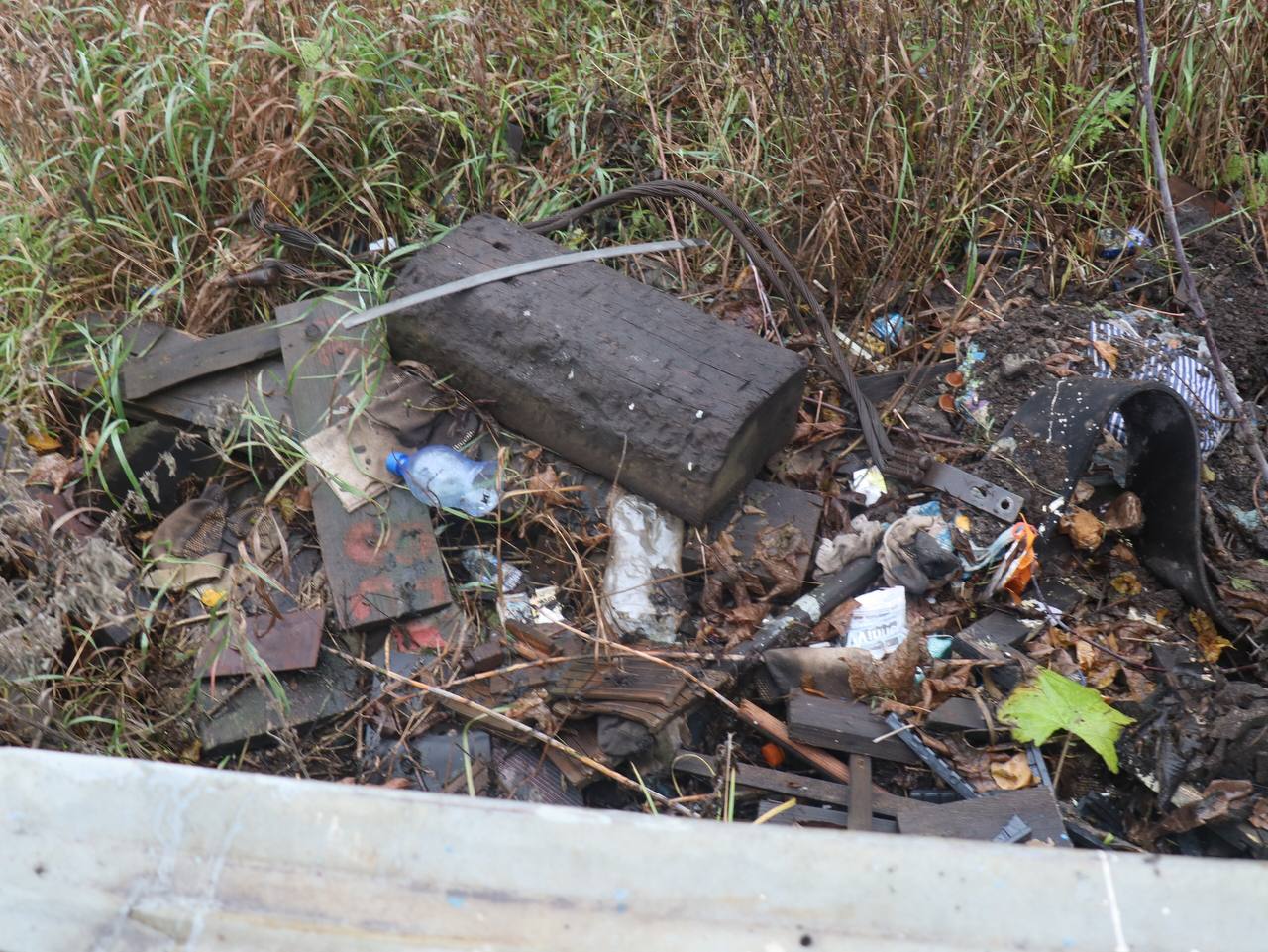 Детский омбудсмен потребовал обеспечить безопасность перехода у школы №32 в Ярославле