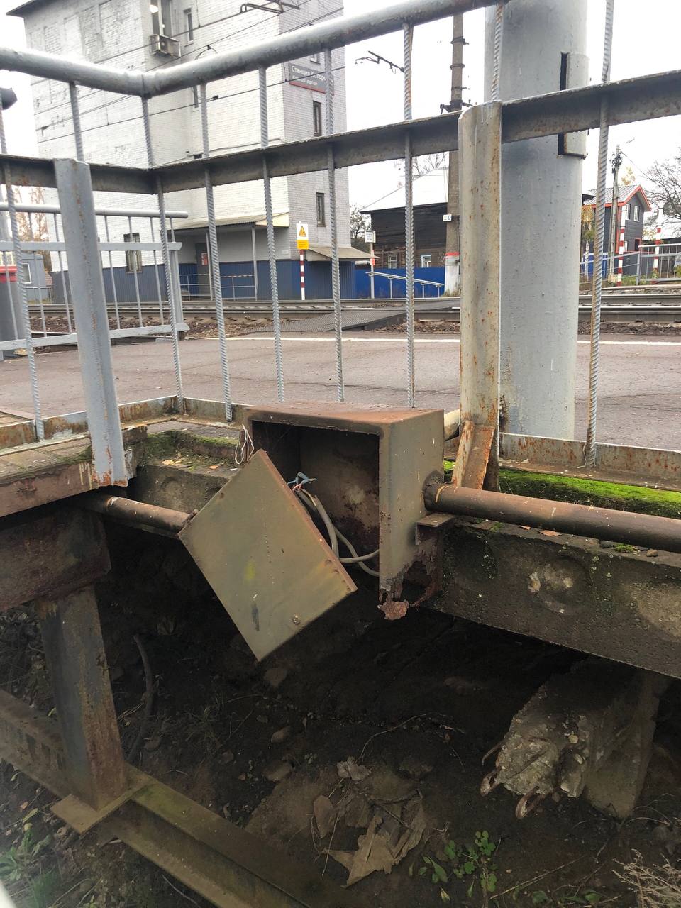 Детский омбудсмен потребовал обеспечить безопасность перехода у школы №32 в Ярославле