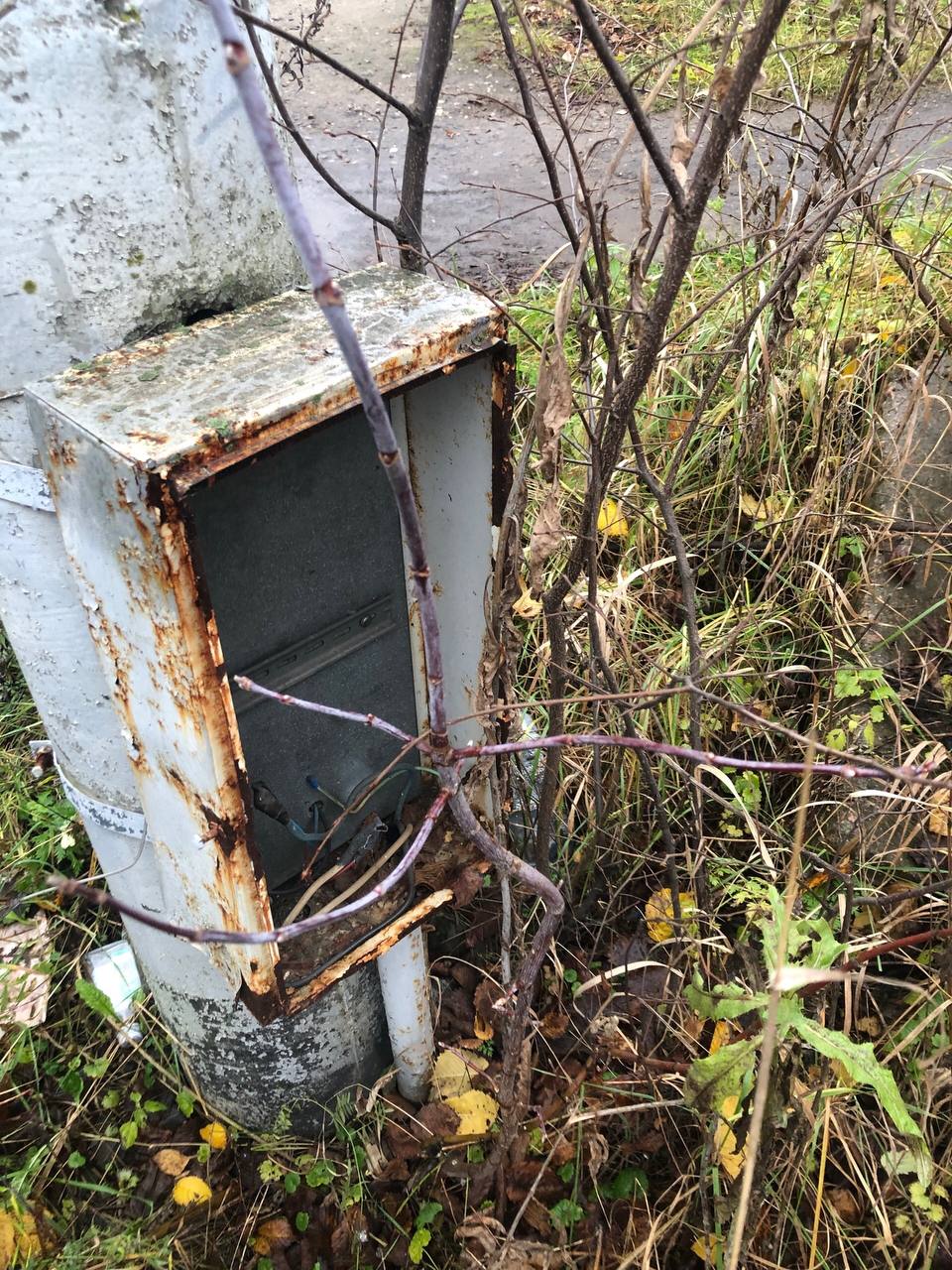 Детский омбудсмен потребовал обеспечить безопасность перехода у школы №32 в Ярославле