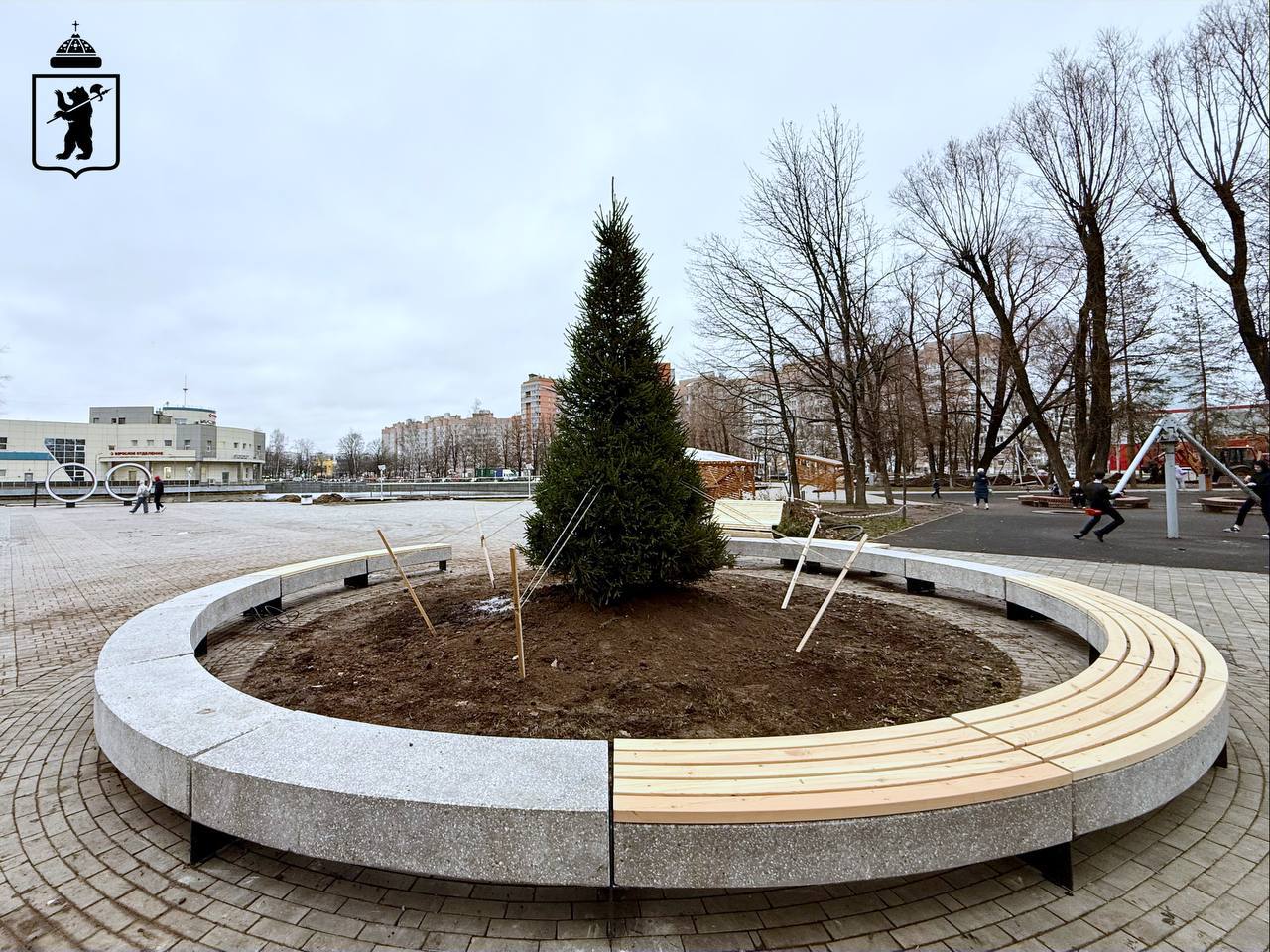 В парке 30-летия Победы в Ярославле установили четырехметровую ель