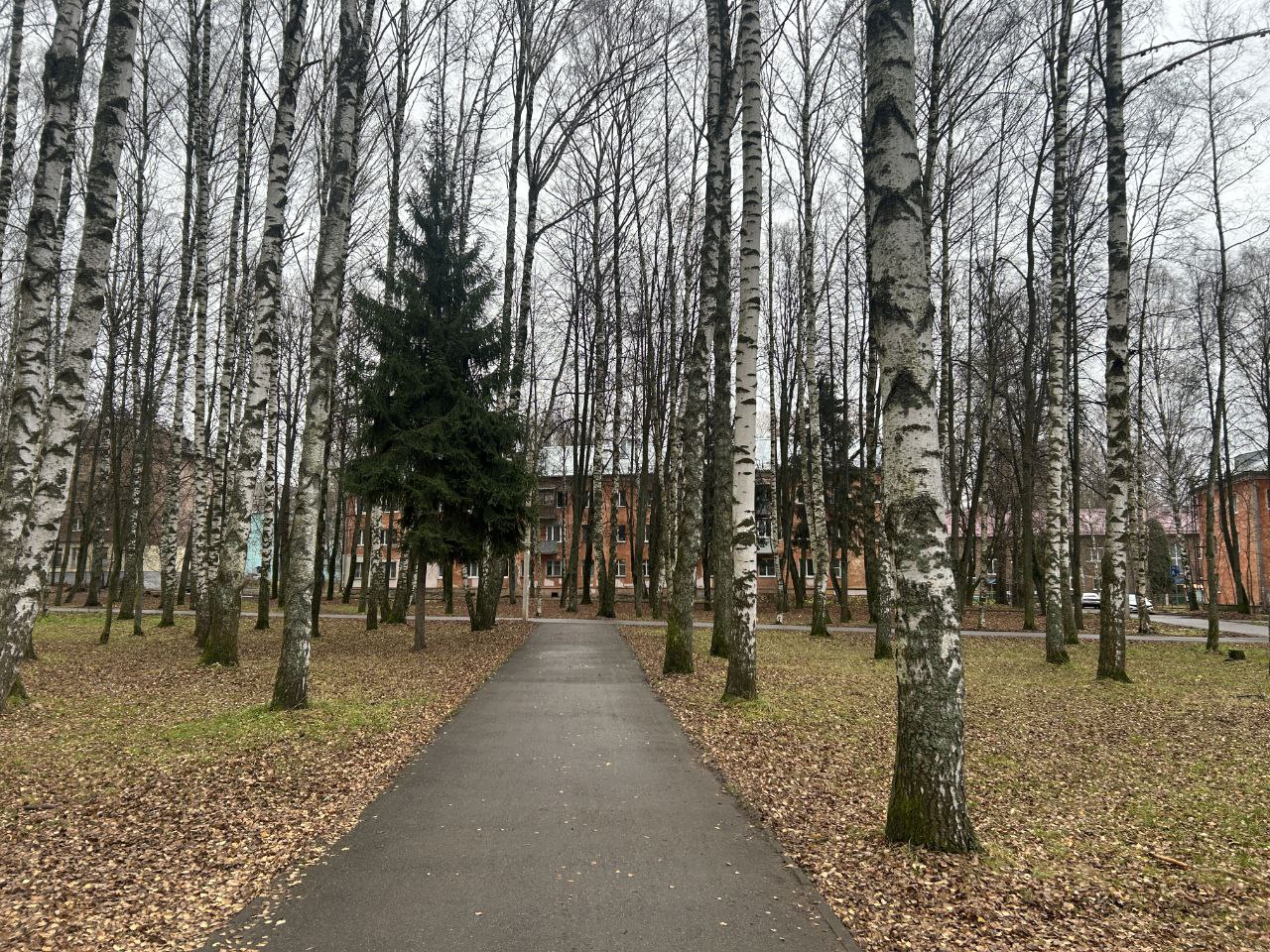 Завершено благоустройство территории у дома культуры «Гамма» в Ярославле