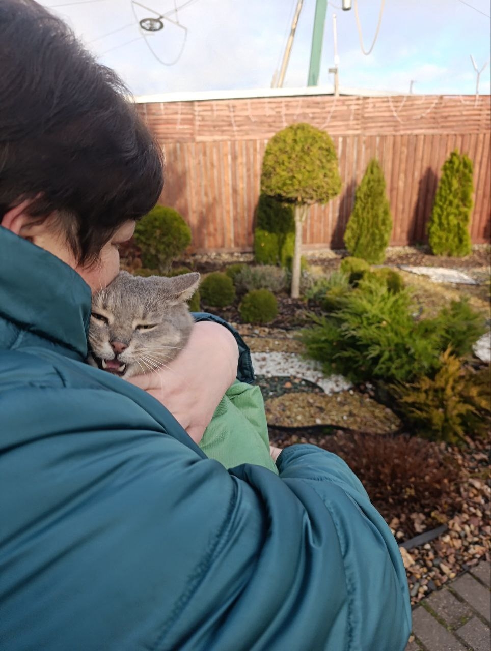 Кот Василий вернулся в музей «Карабиха»