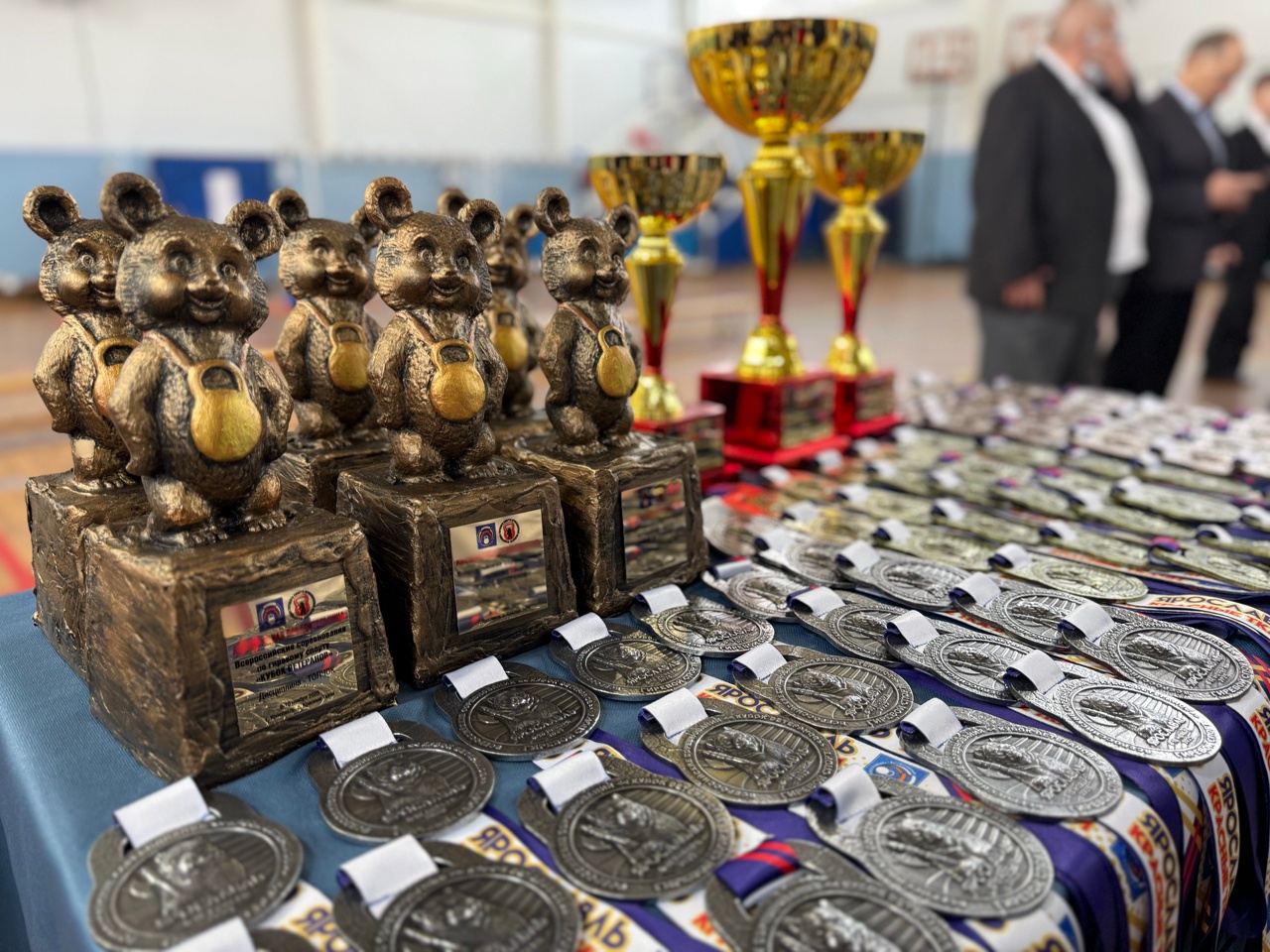 Ярославские ветераны гиревого спорта завоевали девять медалей на всероссийских соревнованиях