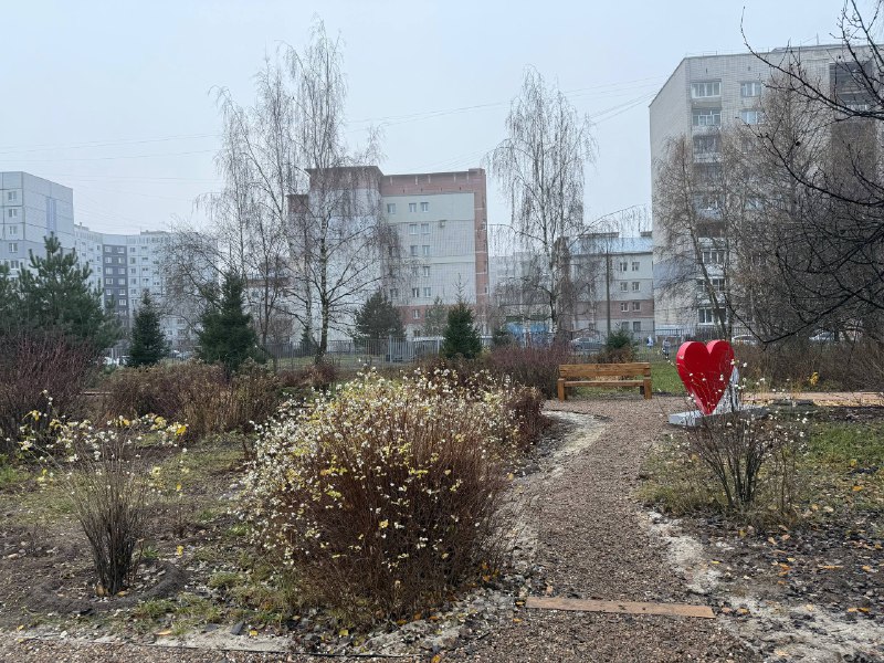 В Ярославле благодаря победе школы №68 во всероссийской олимпиаде создали экотропу