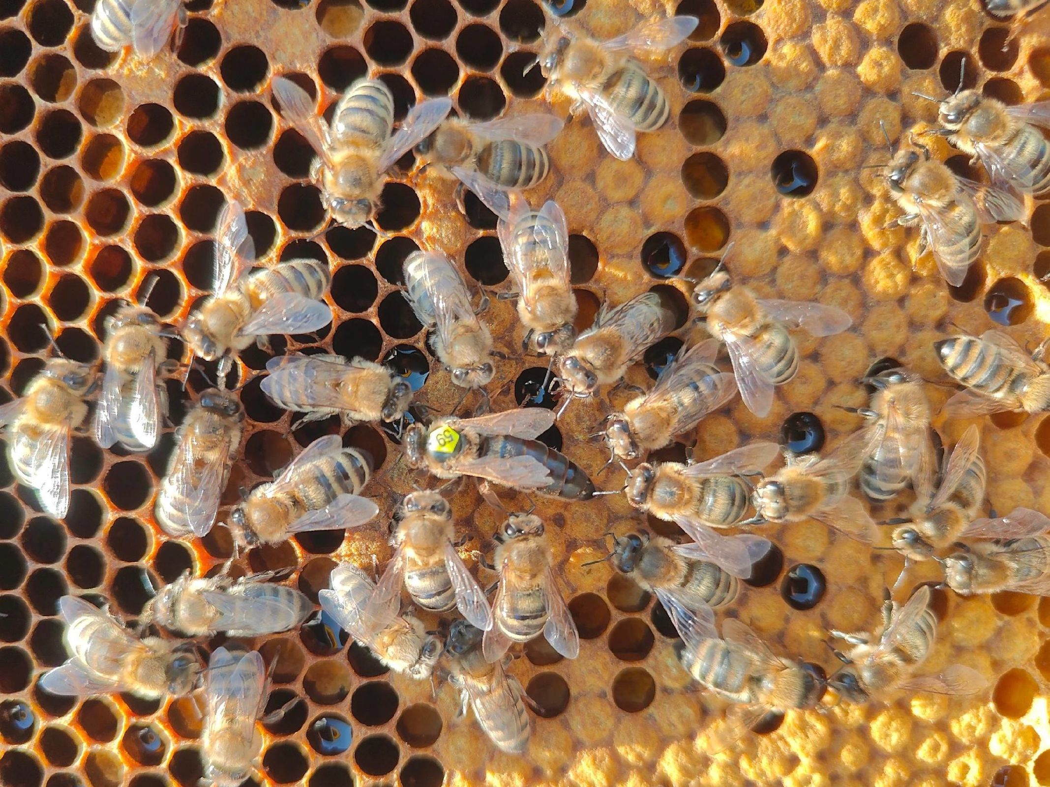 Три фермера из Ярославской области получат гранты «Агростартап»