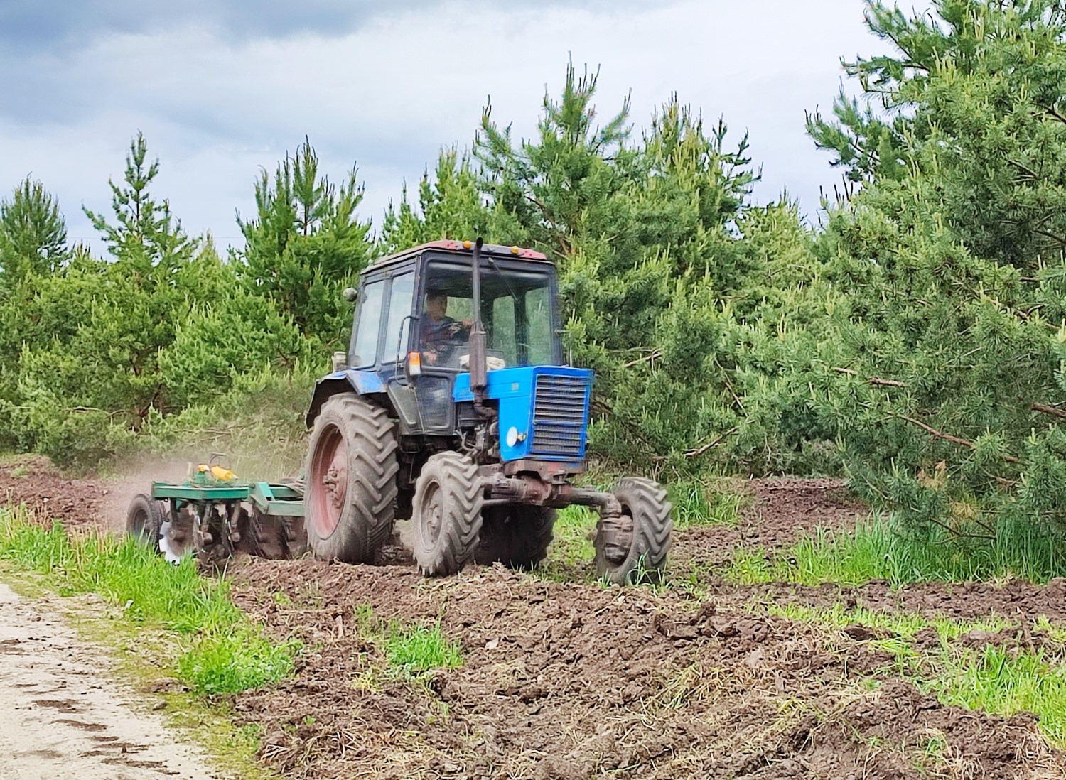 ​Лесовосстановление в Ярославской области в этом году провели на 10 тысячах гектаров