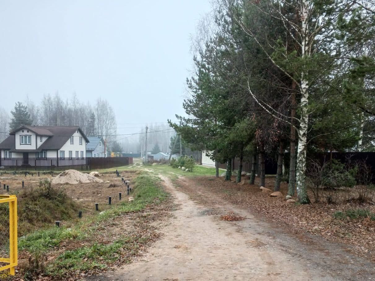 Первые дома в ярославских деревнях Петраково и Скорода подключены к газовым сетям