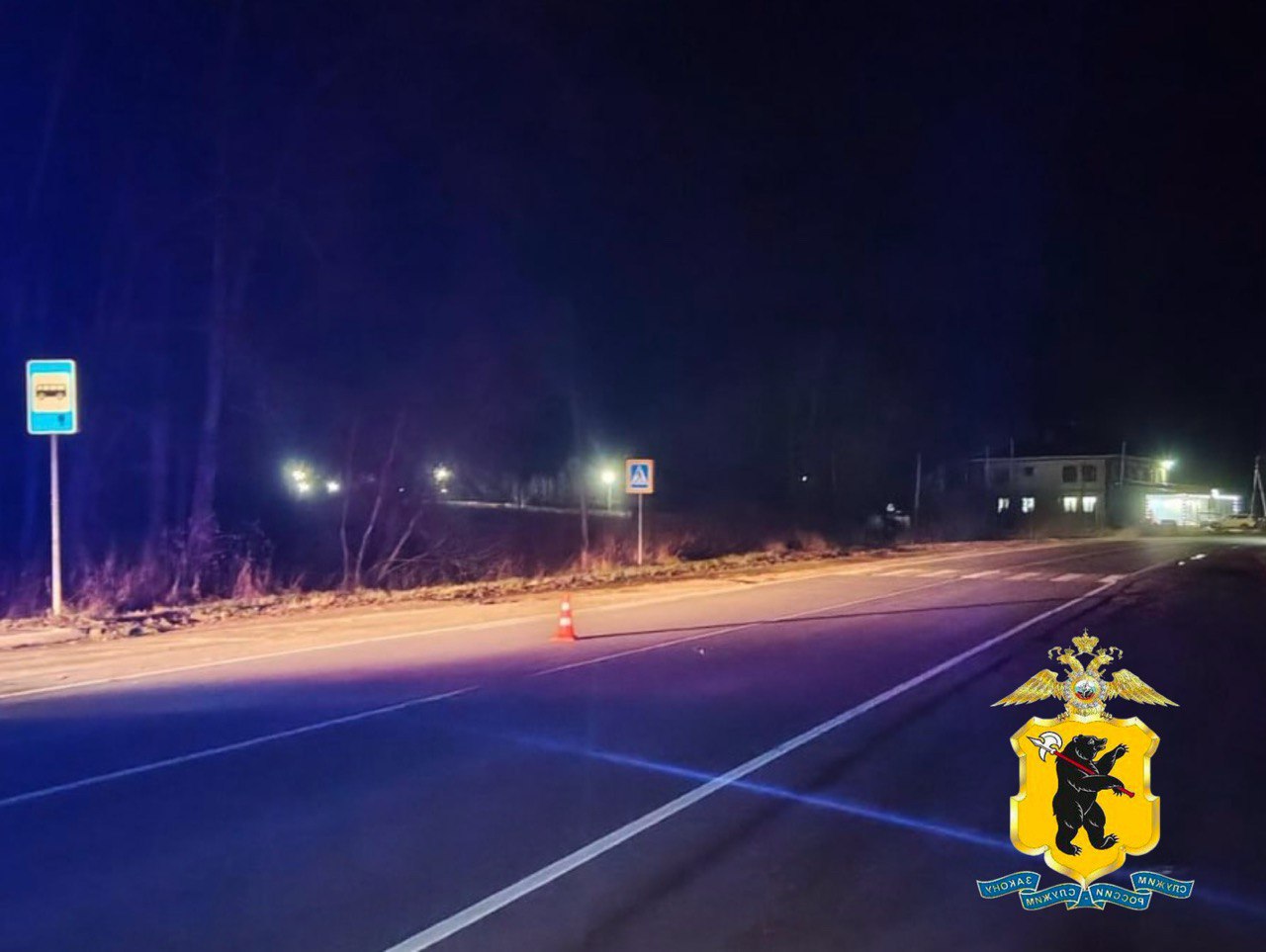 В Ярославской области за сутки в ДТП пострадали два пешехода