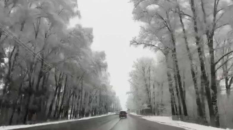 Ярославцы поделились кадрами первого снега