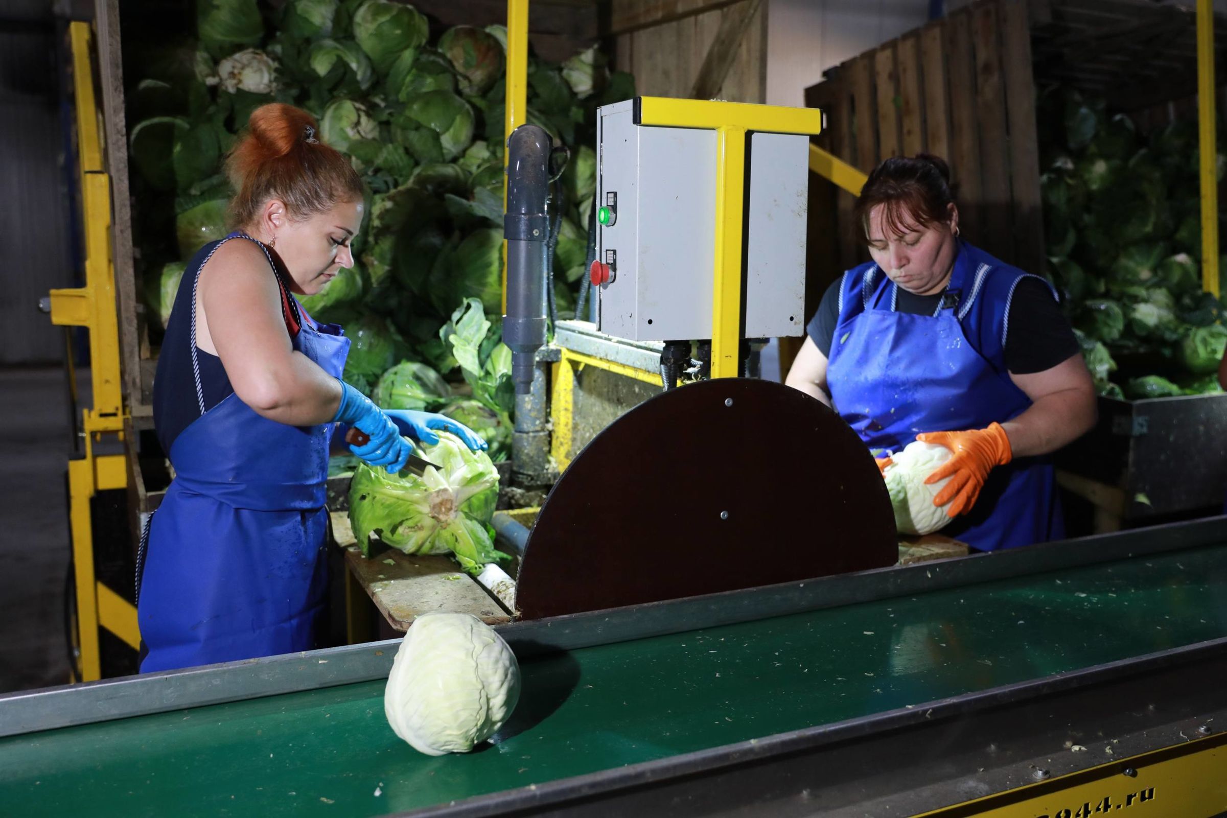 ​Третий агроагрегатор в Ярославской области начал сотрудничество с торговыми сетями