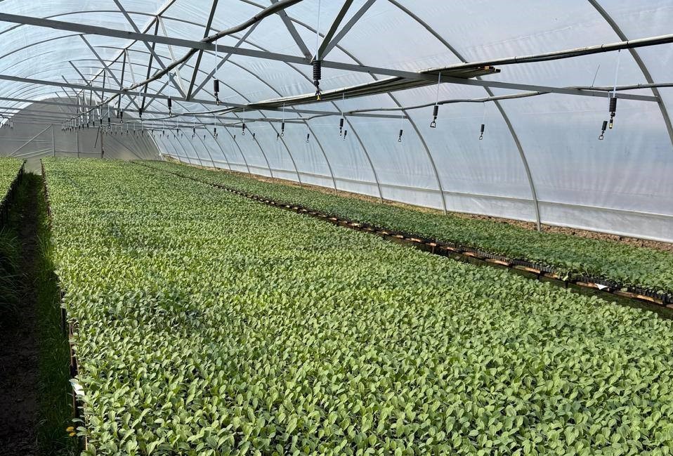 Третий агроагрегатор в Ярославской области начал сотрудничество с торговыми сетями