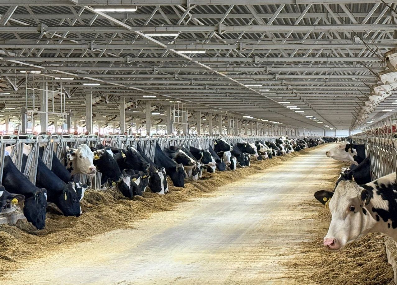 Ярославская область вошла в топ-5 регионов России по приросту индекса производства сельхозпродукции