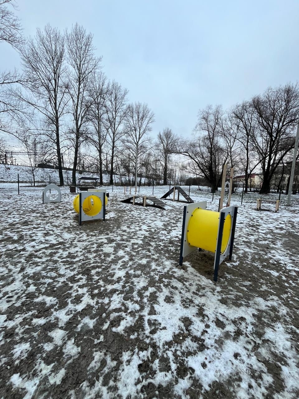 В четырех районах Ярославля появились новые площадки для выгула собак