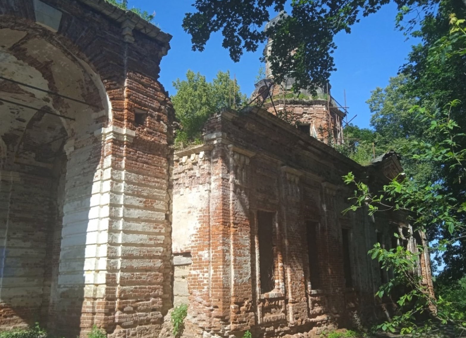 Уникальный парк и пруды старинной усадьбы в Ярославской области будут охраняться государством