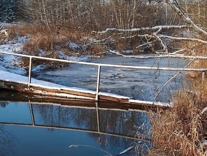 ​Михаил Евраев поручил восстановить пешеходный мост в деревне Прокунино Любимского округа