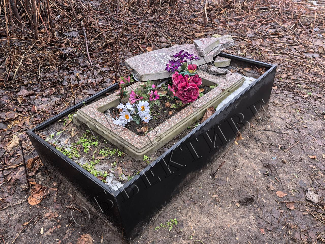 Михаил Евраев прокомментировал разгром на Донском кладбище в Ярославле