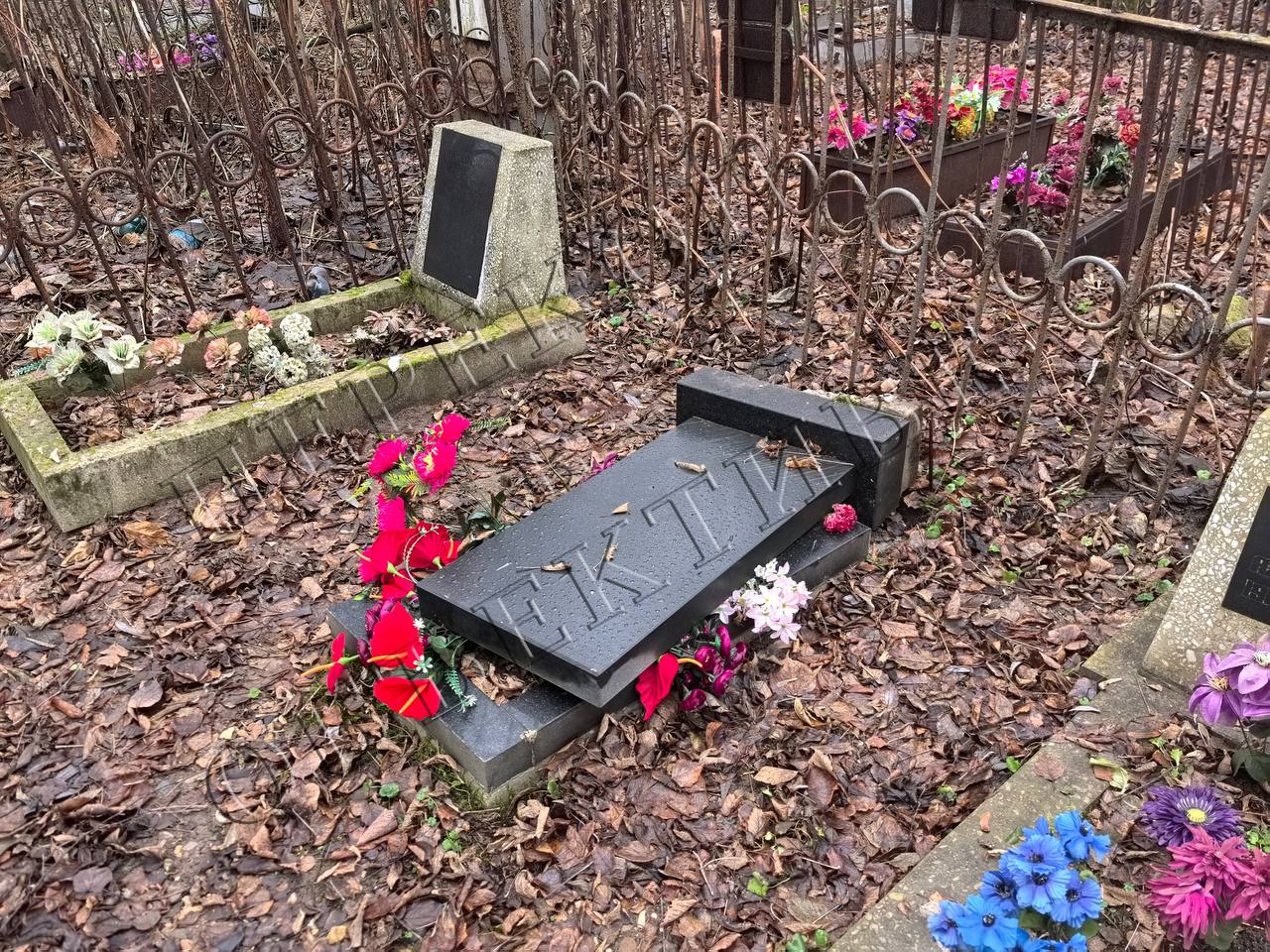 Михаил Евраев прокомментировал разгром на Донском кладбище в Ярославле