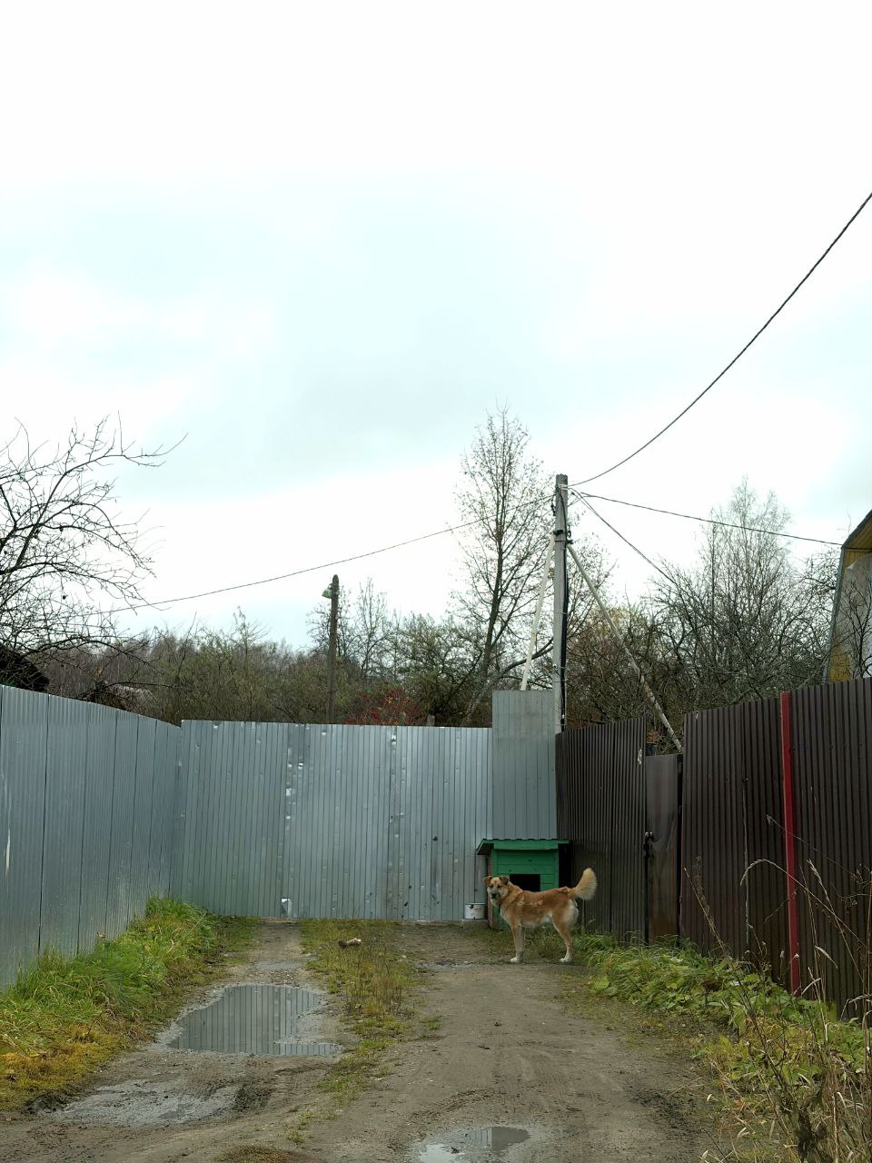 В Ярославской области по материалам «Россети Центр» на майнеров возбуждены два уголовных дела по фактам хищения электроэнергии