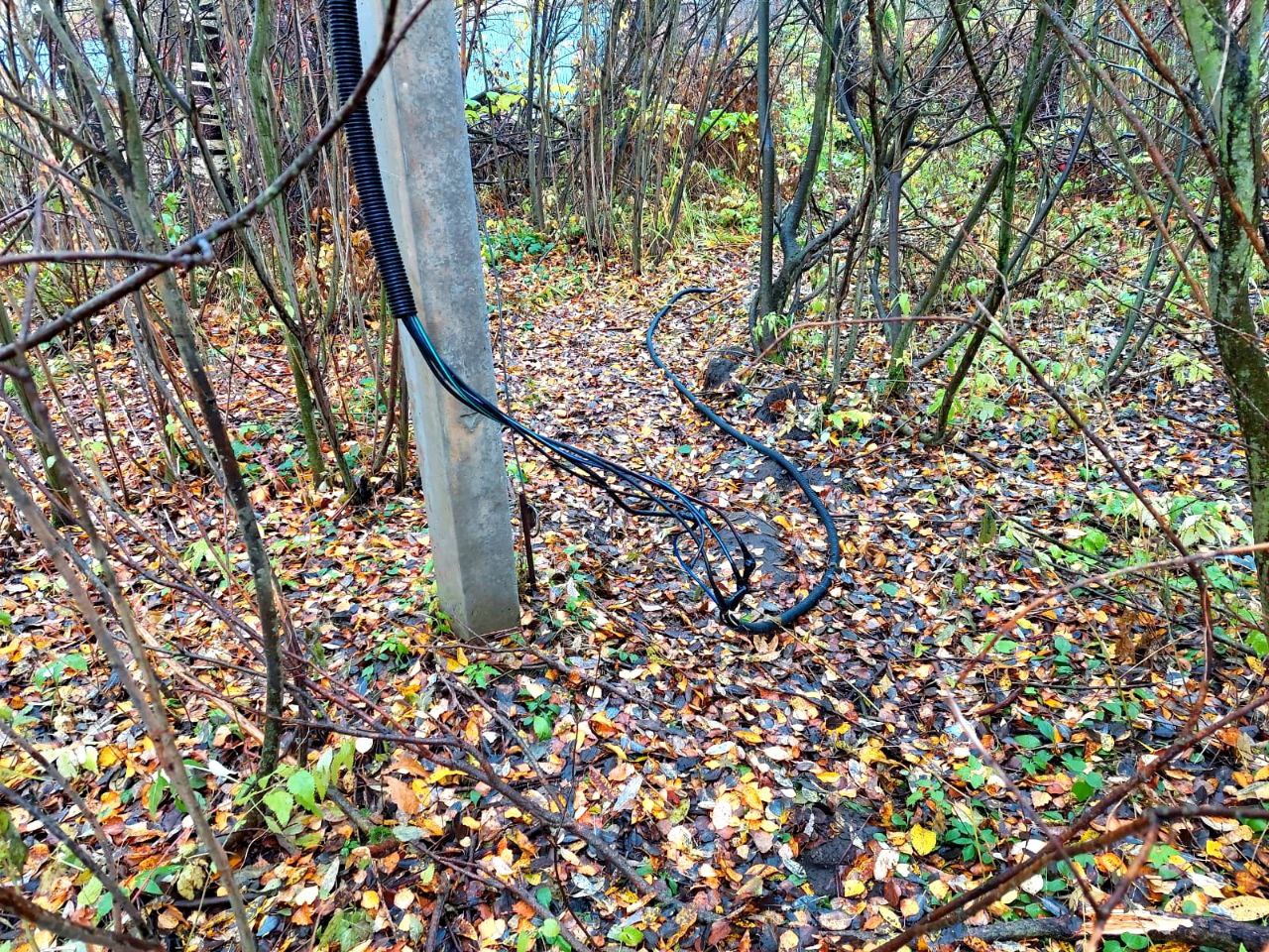 В Ярославской области по материалам «Россети Центр» на майнеров возбуждены два уголовных дела по фактам хищения электроэнергии