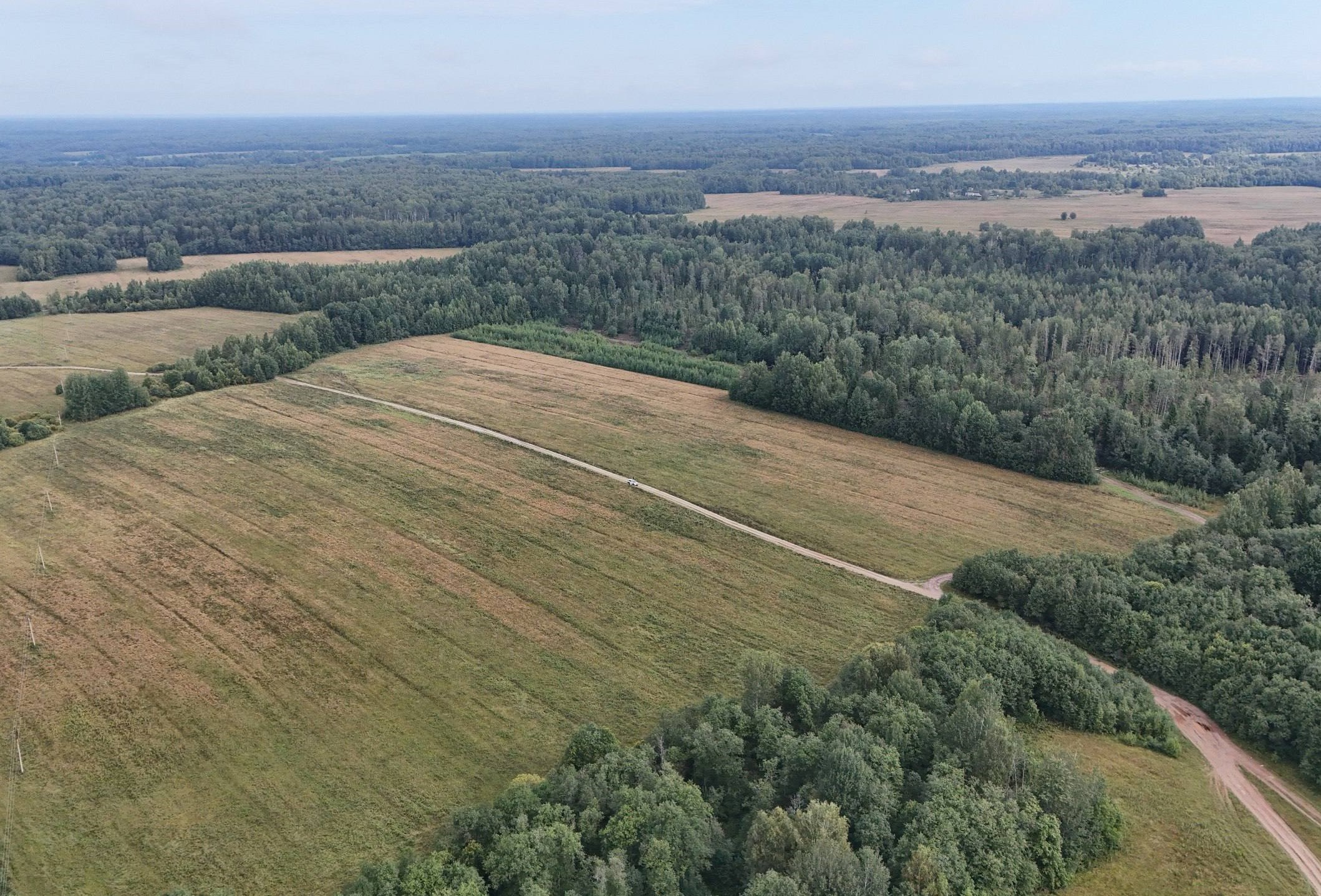 Более 9 тысяч гектаров ярославских земель введут в сельхозоборот в 2026 году