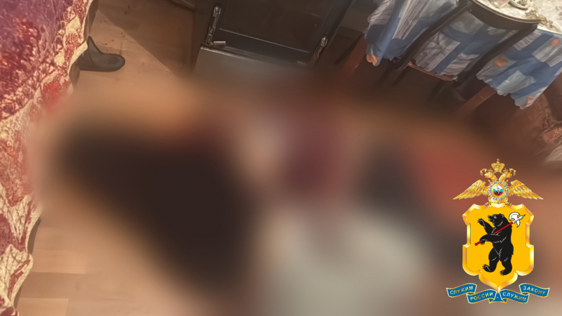 Ножом в спину: мужчина в Ярославской области убил двух человек