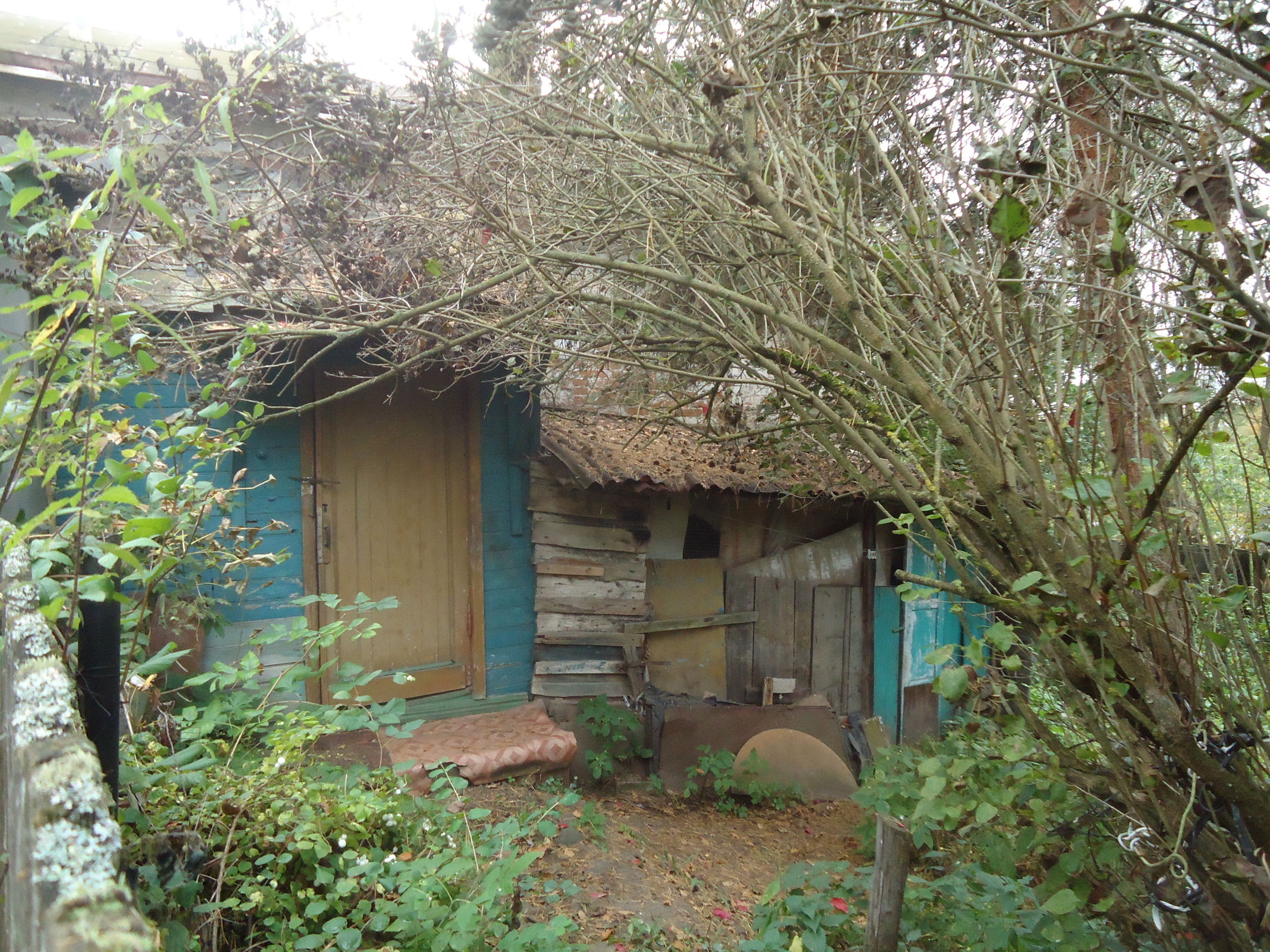 В Ярославской области объект культурного наследия изъяли у недобросовестного собственника