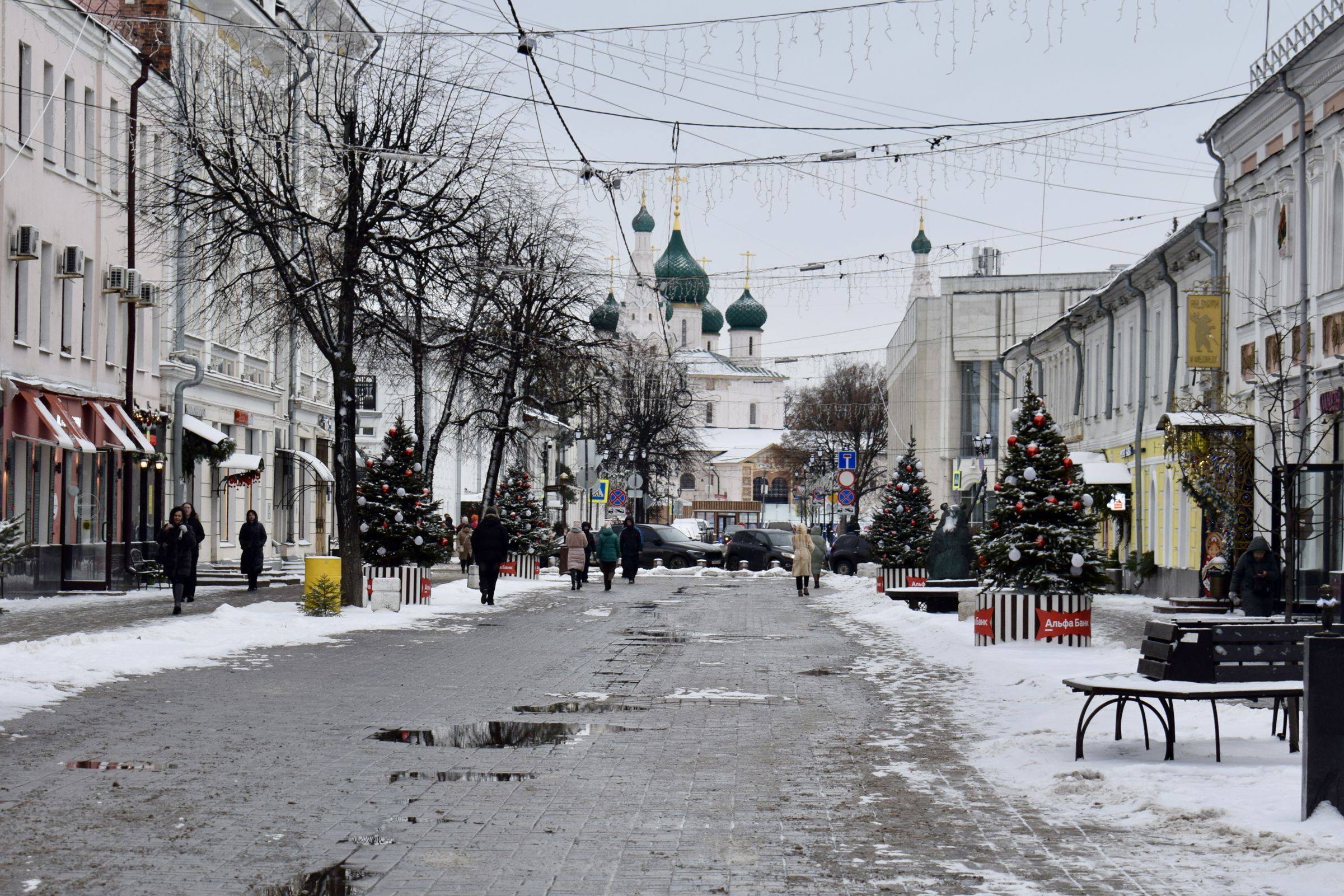 В преддверии новогодних праздников в центре Ярославля заработал бесплатный Wi-Fi