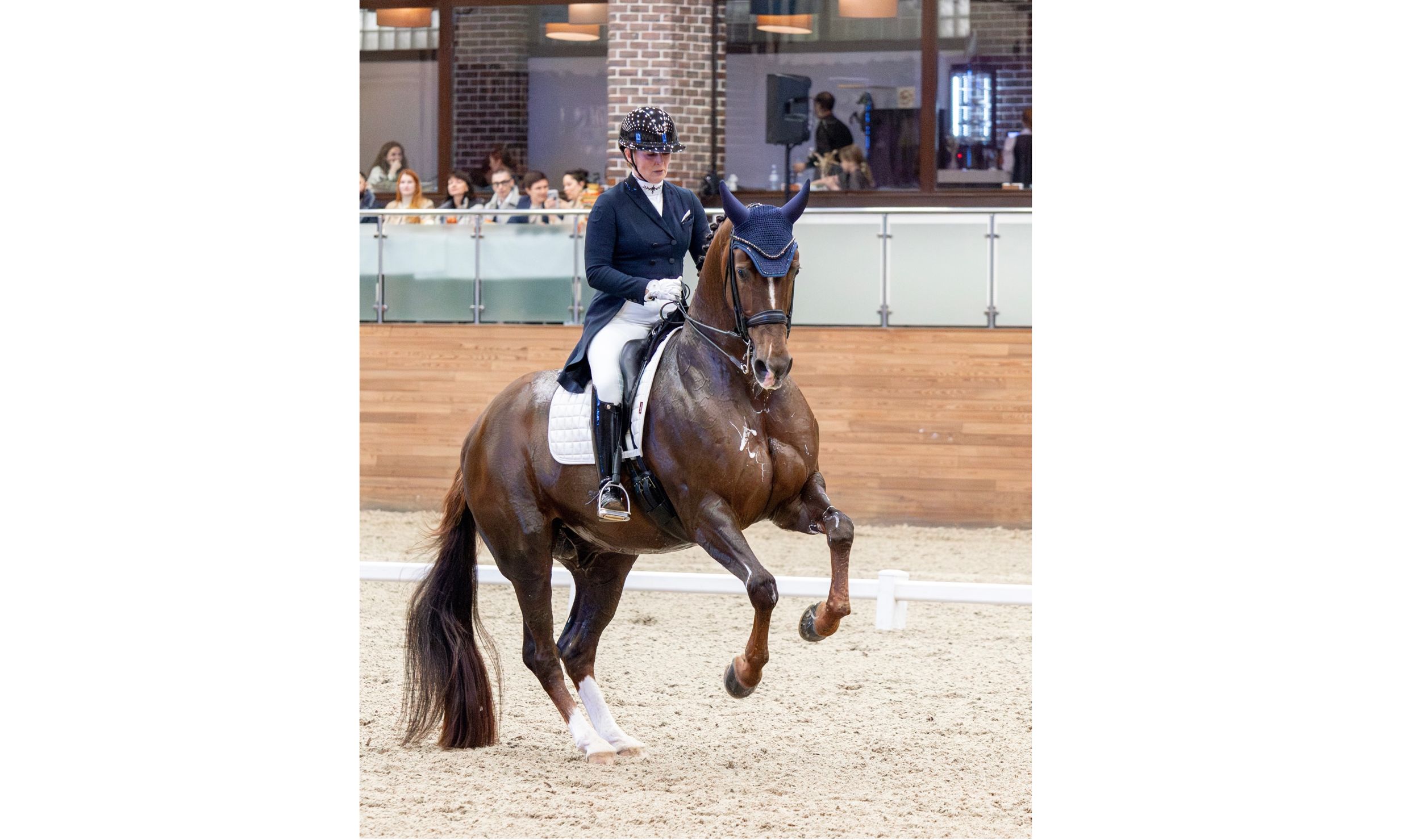 Ярославна с конем Индиго победили в соревнованиях «Звезды Евразии» по выездке