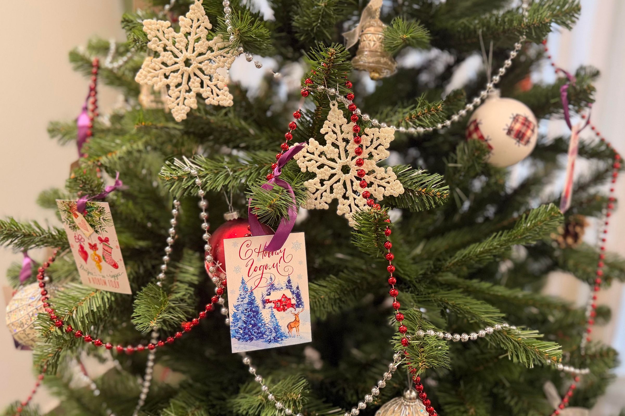 Начальник и сотрудники УФСИН по Ярославской области приняли участие в «Елке желаний»