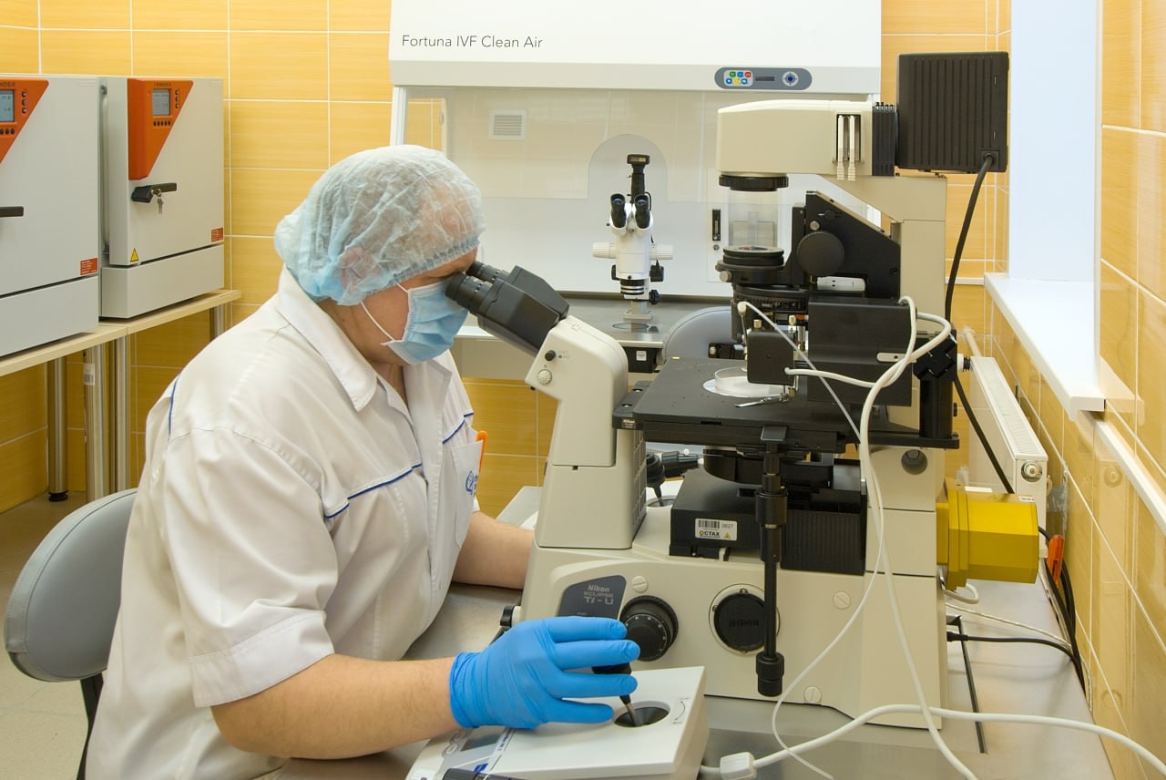 Тысяча жительниц Ярославской области в этом году сможет бесплатно пройти процедуру ЭКО