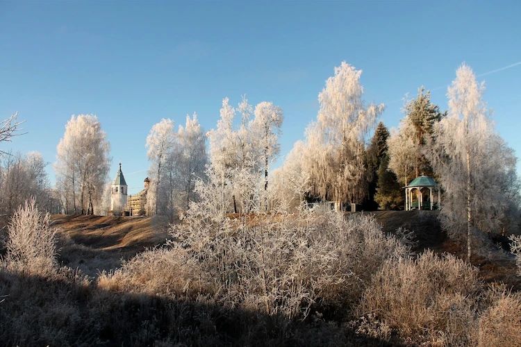 «ЯПутешествую»: Данилов – Любим