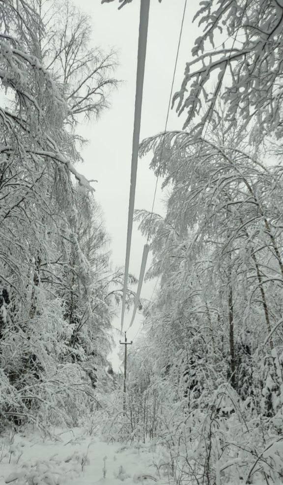 Специалисты «Ярэнерго» контролируют работу электросетевого комплекса в условиях непогоды