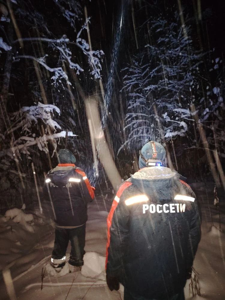 Энергетики «Ярэнерго» восстановили электроснабжение потребителей после сильного снегопада