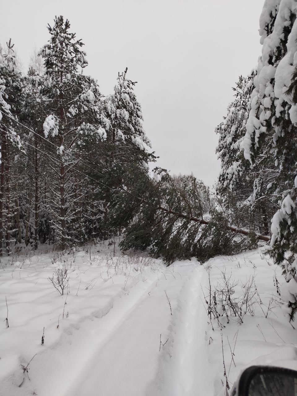 Энергетики «Ярэнерго» восстановили электроснабжение потребителей после сильного снегопада