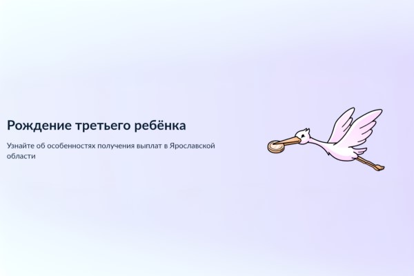 Для жителей Ярославской области запущен сервис «Рождение третьего ребенка»