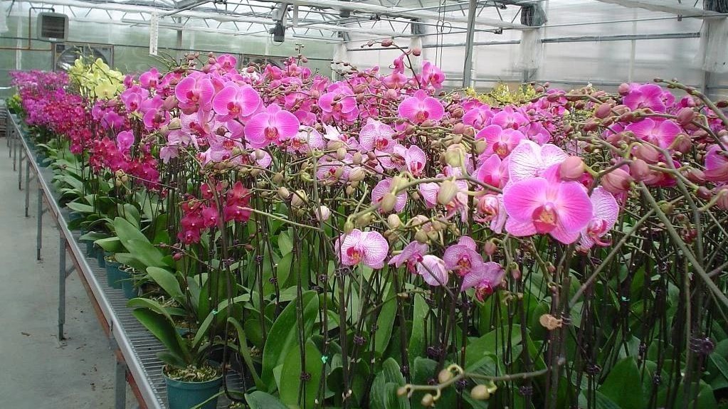 ​Михаил Евраев: в Ярославской области реализуются инвестпроекты на 425 млрд рублей